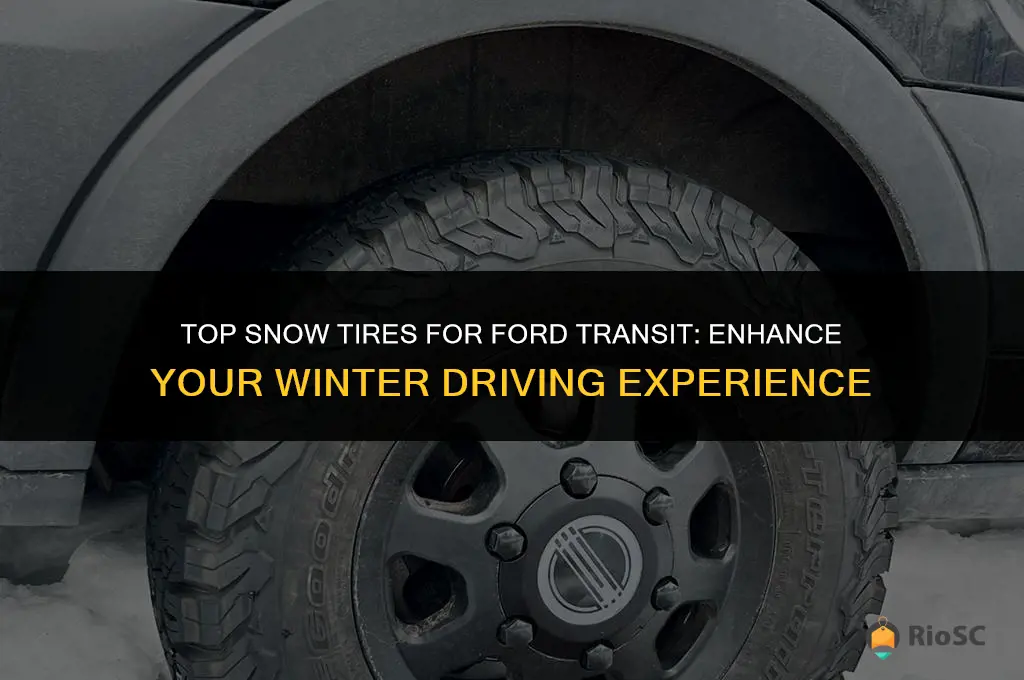 best snow tires for ford transit
