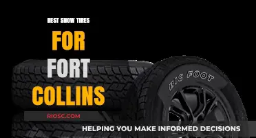 Top Snow Tire Picks for Fort Collins: Stay Safe on Snowy Roads
