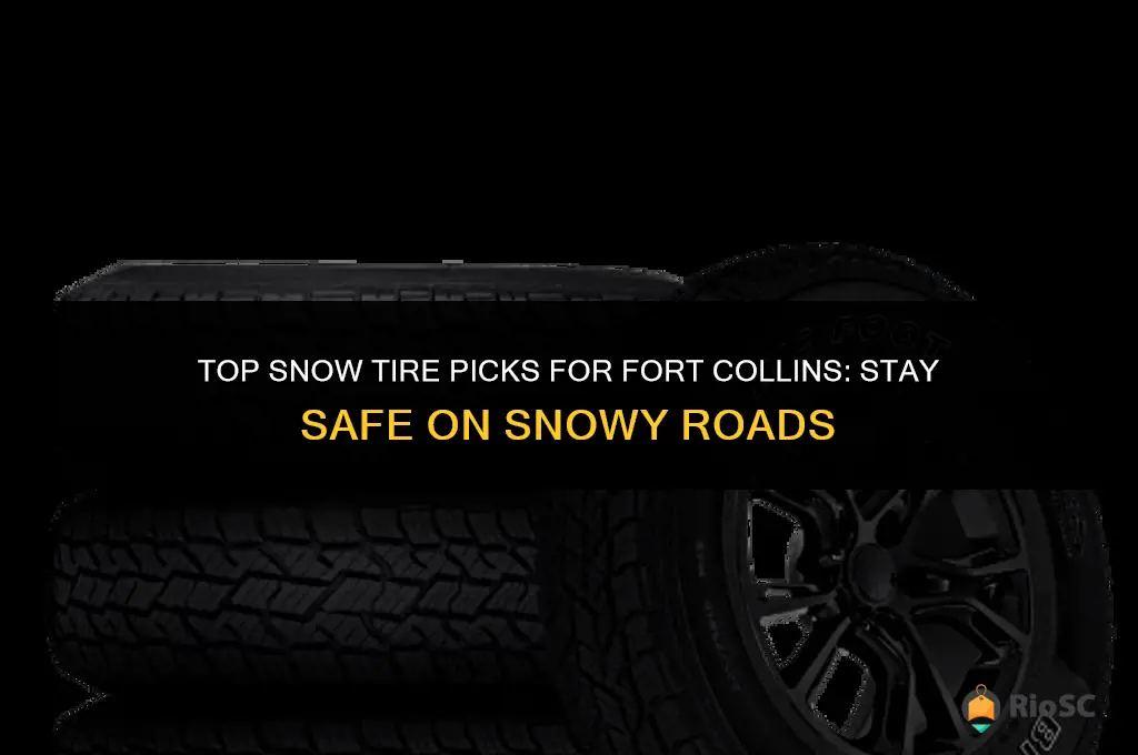 best snow tires for fort collins