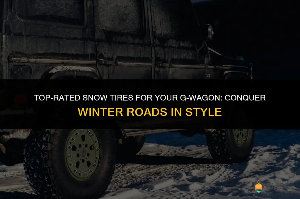 best snow tires for g wagon