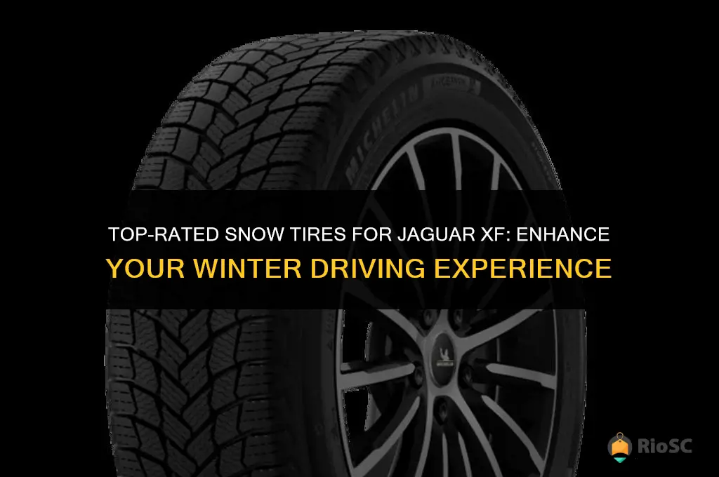best snow tires for jaguar xf