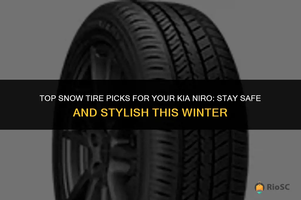 best snow tires for kia niro