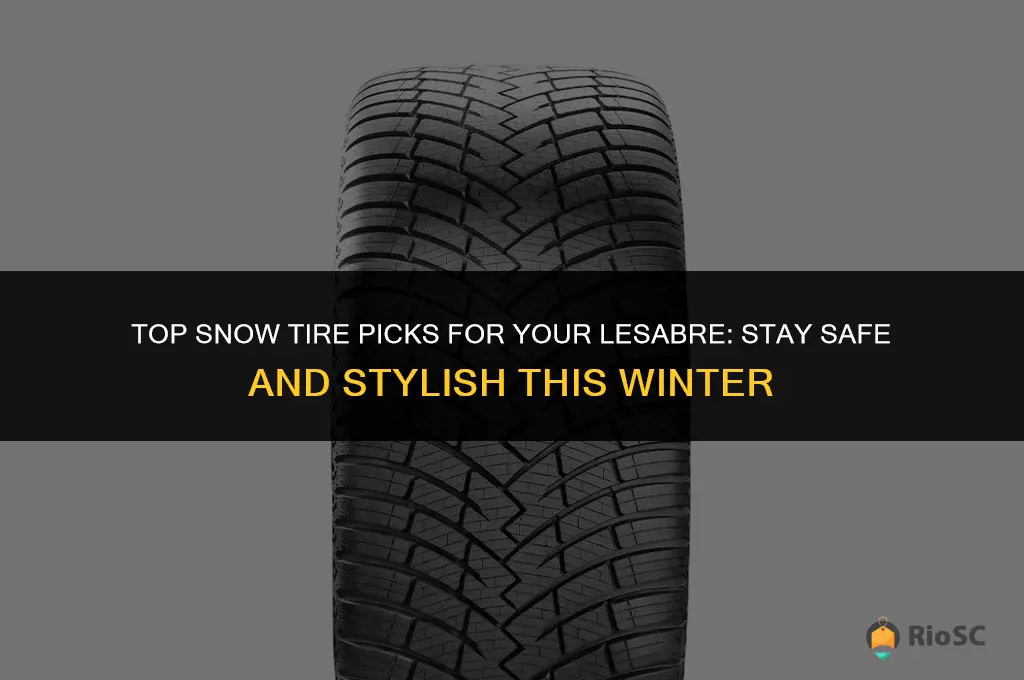 best snow tires for lesabre