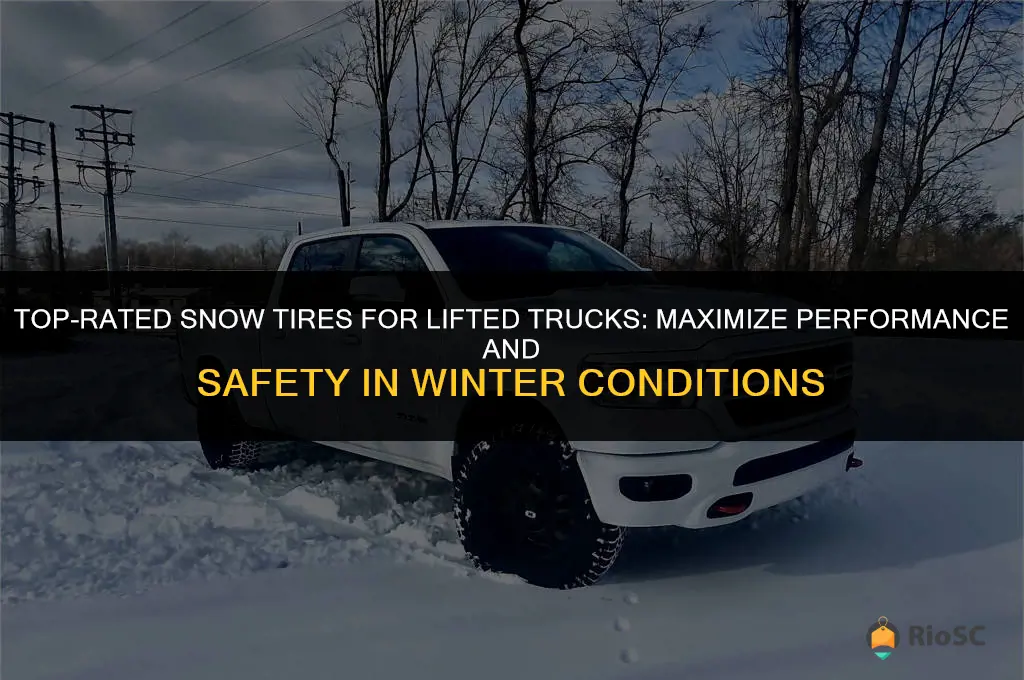 best snow tires for lifted trucks
