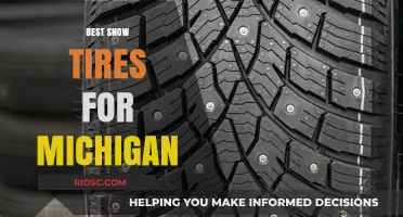 Top Snow Tires for Michigan: Stay Safe on the Road This Winter