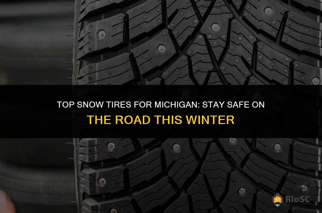 best snow tires for michigan