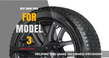 Top Picks for Model 3: The Best Snow Tires to Tackle Winter Roads