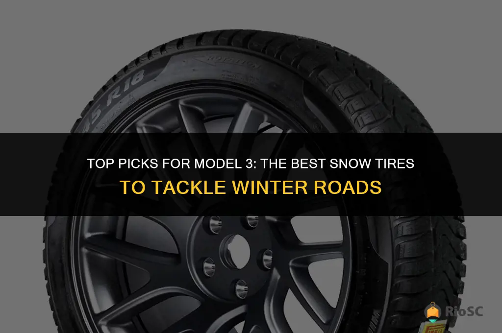 best snow tires for model 3