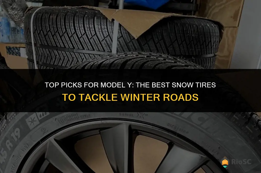 best snow tires for model y