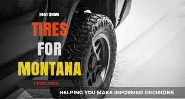 Conquering Montana's Winter Roads: Top Snow Tire Picks for Unmatched Traction and Safety