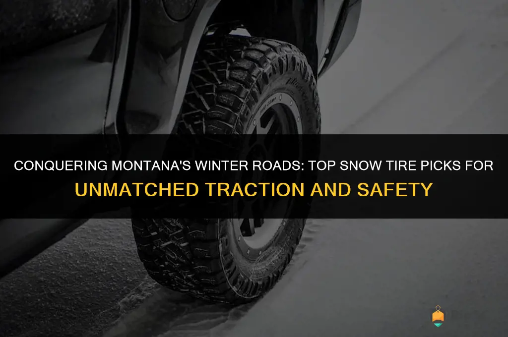 best snow tires for montana