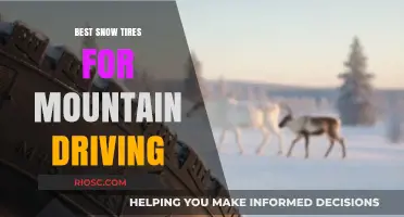 Conquering the Peaks: Top Snow Tires for Mountain Driving Adventures