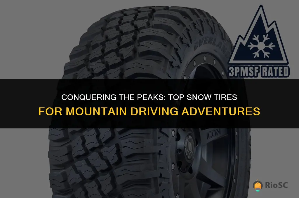 best snow tires for mountain driving