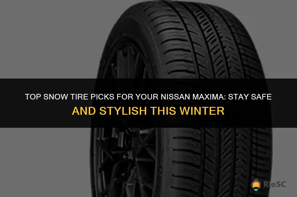 best snow tires for nissan maxima