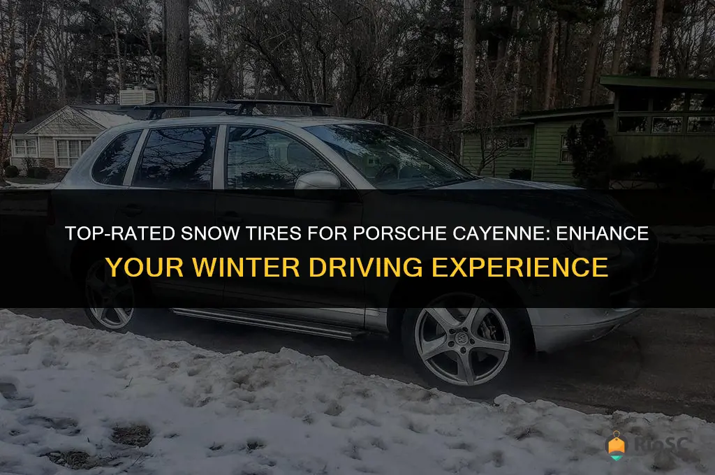 best snow tires for porsche cayenne