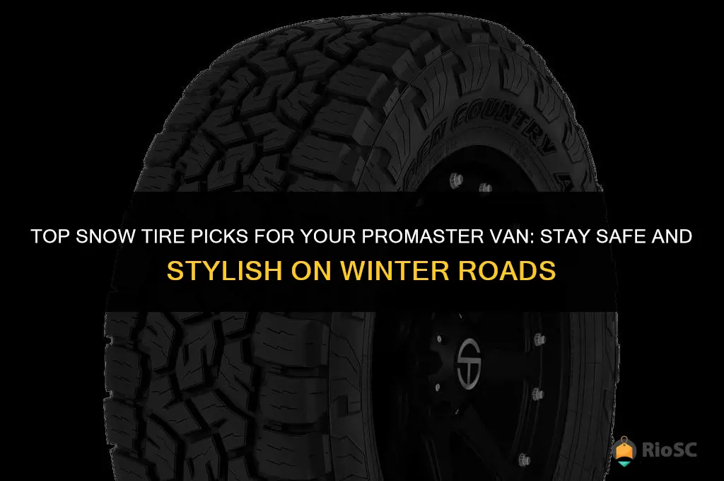 best snow tires for promaster van