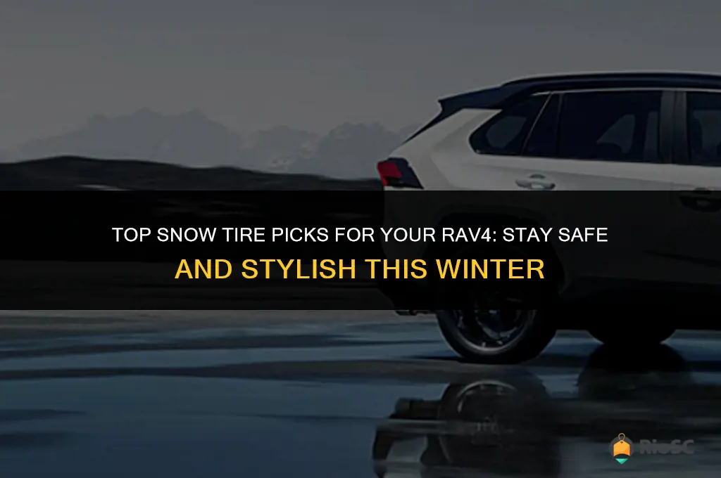 best snow tires for rav 4