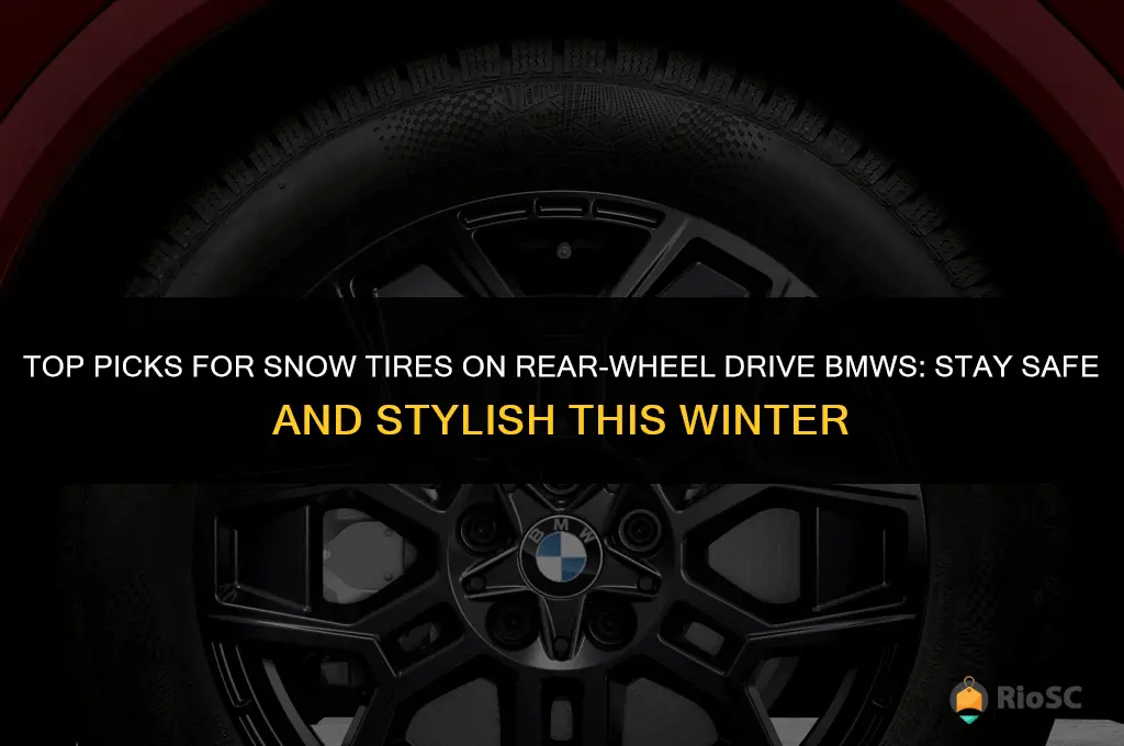best snow tires for rear wheel drive bmw