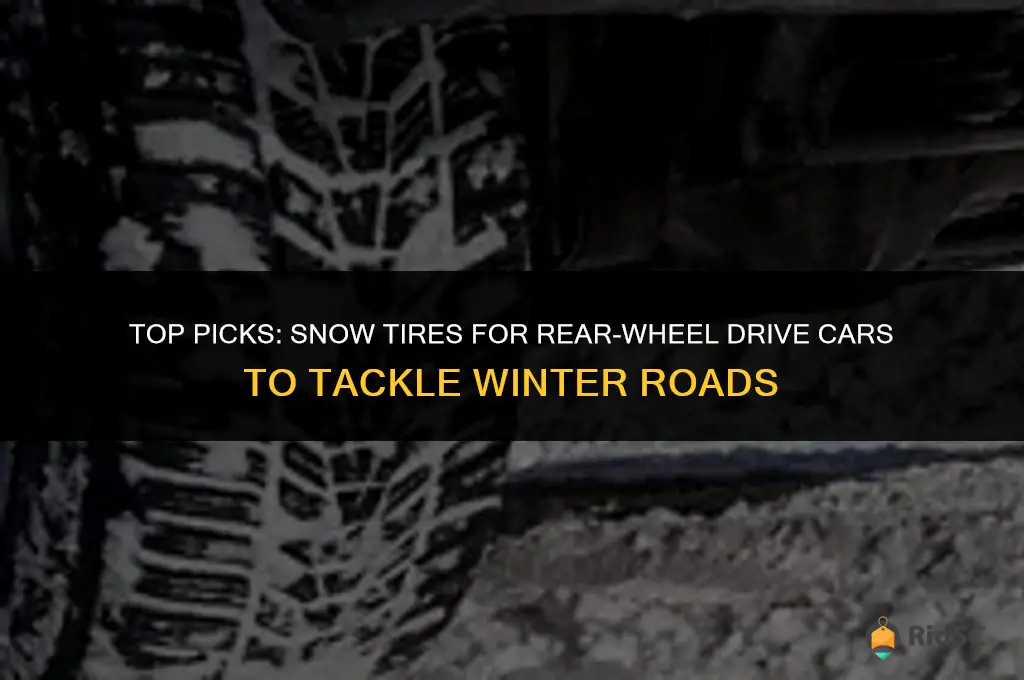 best snow tires for rwd cars