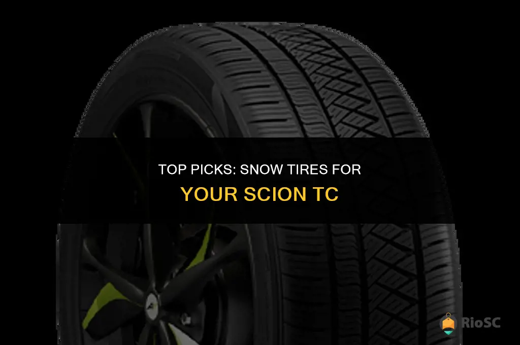best snow tires for scion tc