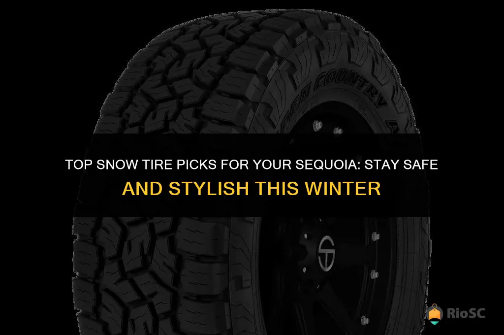 best snow tires for sequoia