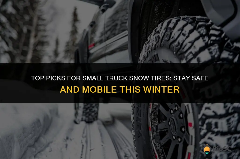 best snow tires for small truck
