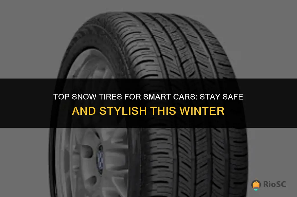 best snow tires for smart car
