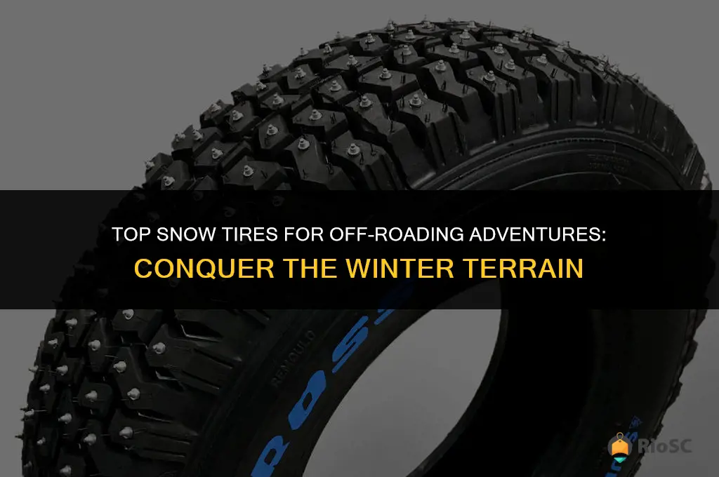 best snow tires for snow offroading