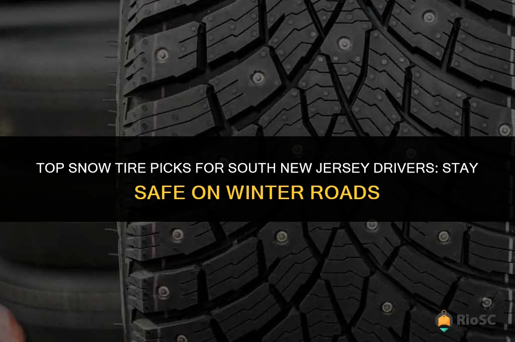 best snow tires for south new jersey