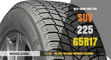 Top Picks for SUV Snow Tires: 225/65R17 Options to Conquer Winter Roads