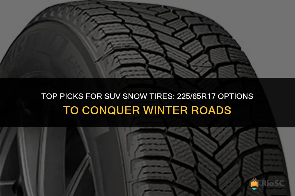 best snow tires for suv 225 65r17