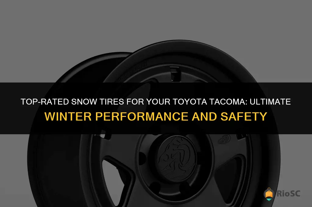 best snow tires for tacoma truck