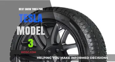 Top Winter Picks: Best Snow Tires for Tesla Model 3 Owners