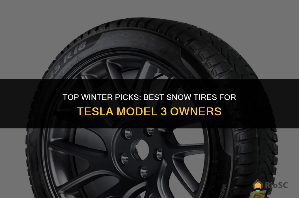 best snow tires for tesla model 3