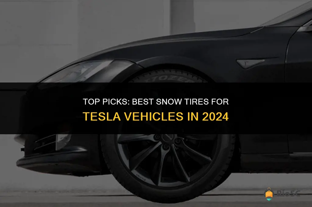 best snow tires for tesla