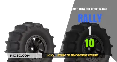 Top Picks: Snow Tires for Traxxas Rally 1/10 Models
