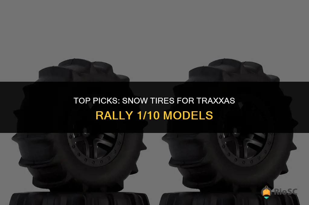 best snow tires for traxxas rally 1 10