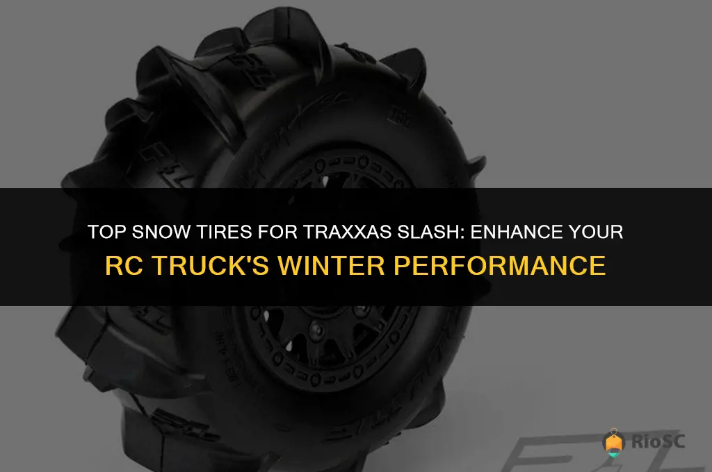best snow tires for traxxas slash