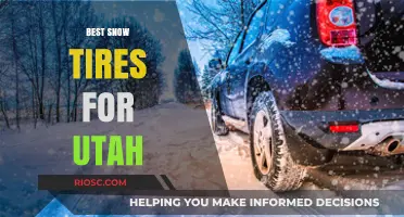 Conquering Utah's Winter Roads: A Guide to the Best Snow Tires for Safe Driving