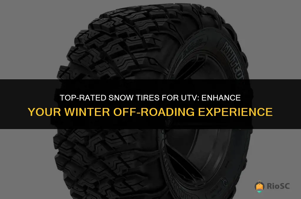 best snow tires for utv