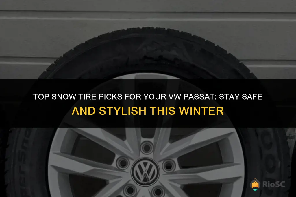 best snow tires for vw passat