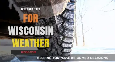Conquering Wisconsin Winters: Top Snow Tire Picks for Unbeatable Traction and Safety