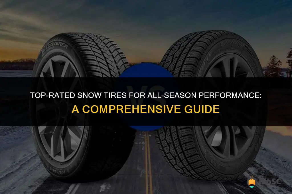 best snow tires for year round use