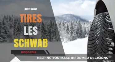 Top Picks for Winter Roads: Les Schwab's Best Snow Tires