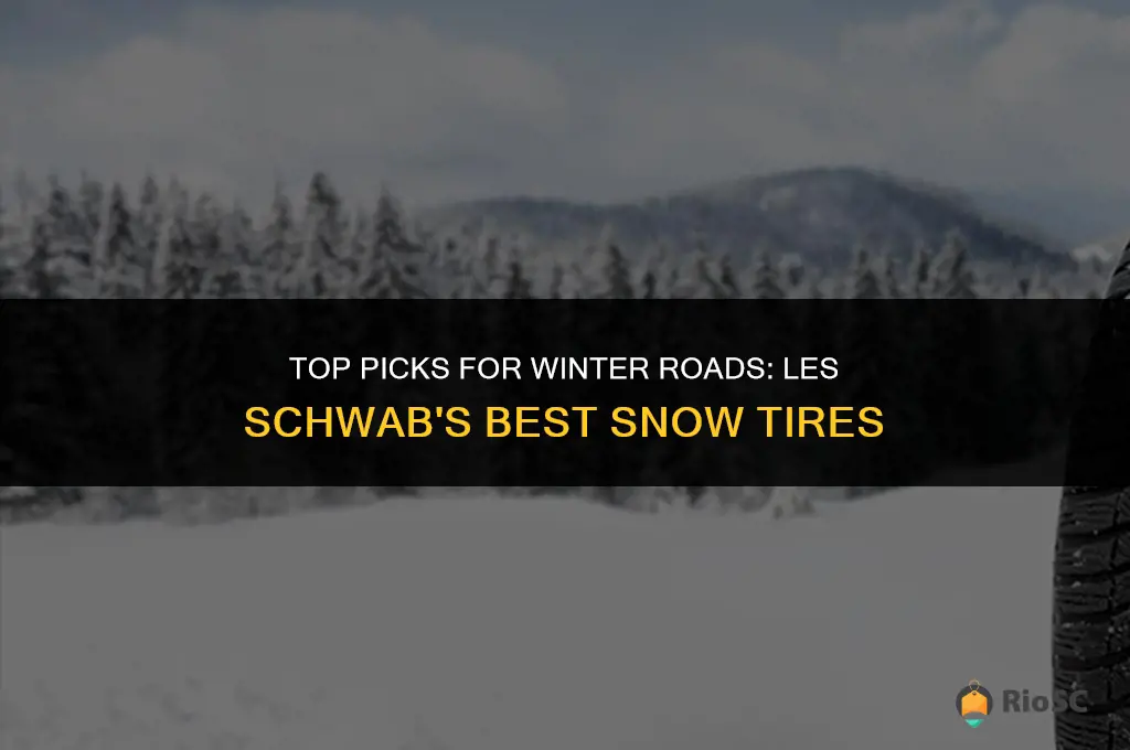 best snow tires les schwab