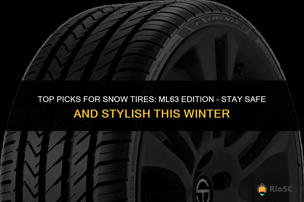 best snow tires ml63