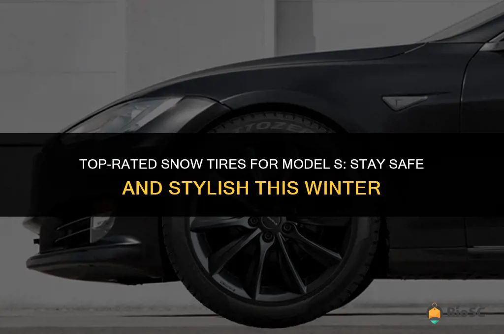 best snow tires model s