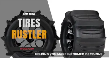 Top Picks for Snow Tires: Unveiling the Rustler's Best