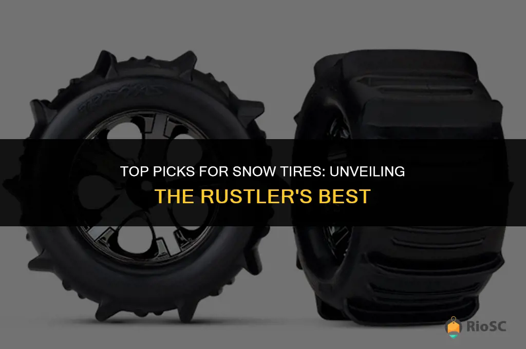 best snow tires rustler