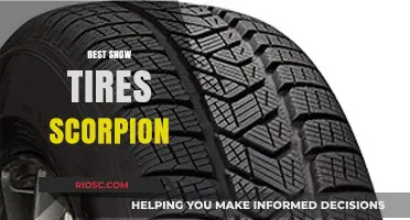 Top Picks for Winter: The Best Scorpion Snow Tires for Safe Driving